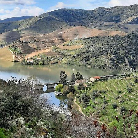 Pensjonat Quinta Da Ferradosa Wines São João da Pesqueira Zewnętrze zdjęcie