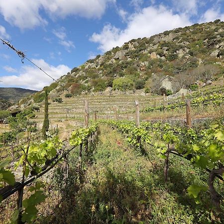 Pensjonat Quinta Da Ferradosa Wines São João da Pesqueira Zewnętrze zdjęcie