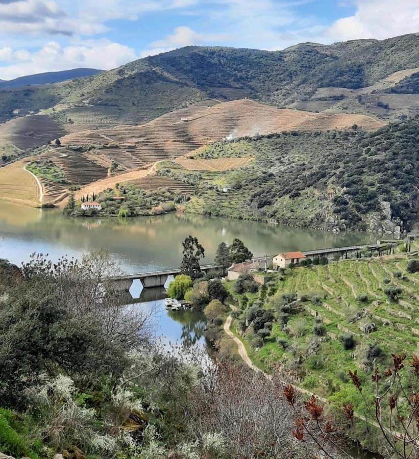 Pensjonat Quinta Da Ferradosa Wines São João da Pesqueira Zewnętrze zdjęcie