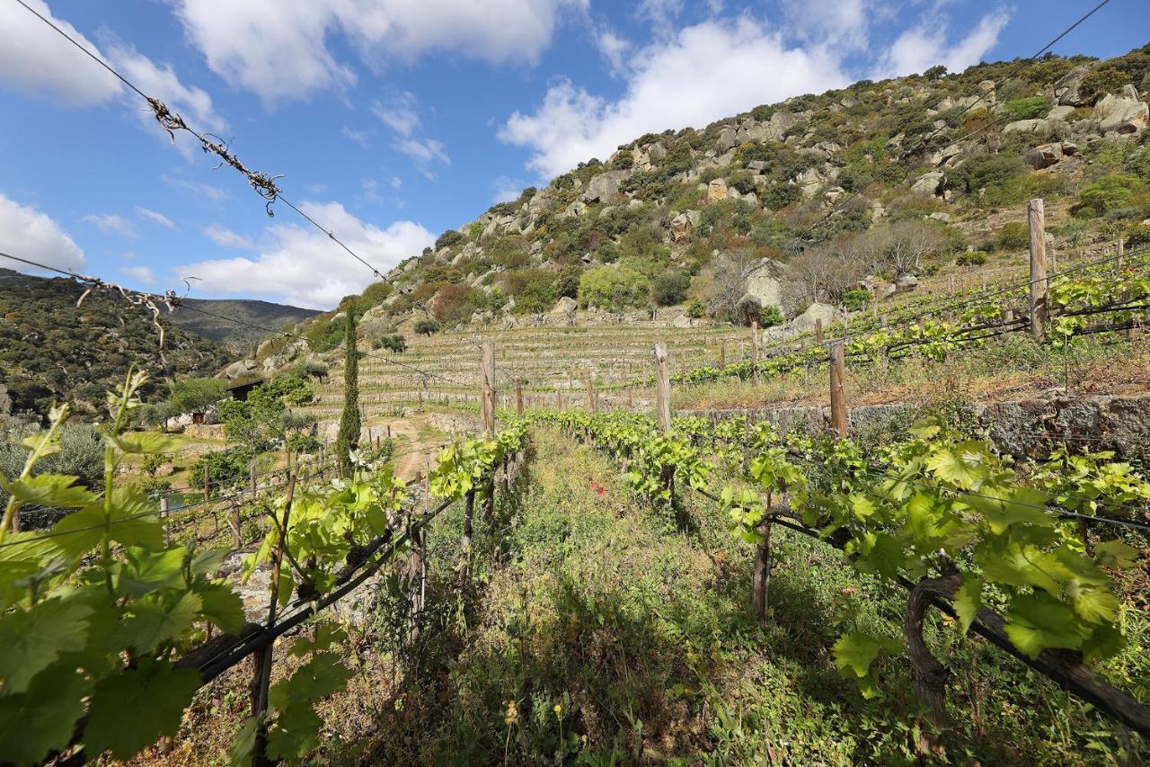 Pensjonat Quinta Da Ferradosa Wines São João da Pesqueira Zewnętrze zdjęcie