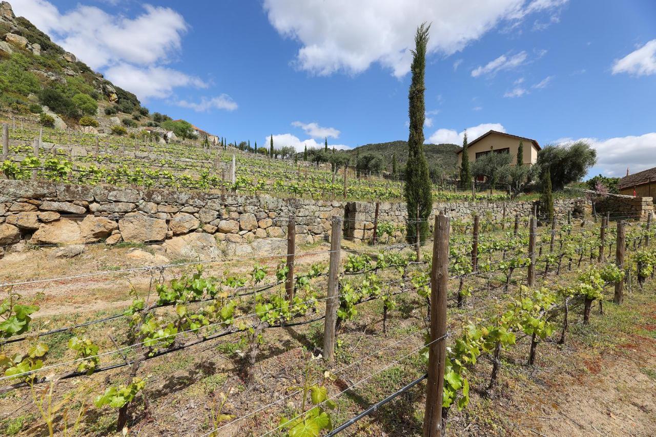 Pensjonat Quinta Da Ferradosa Wines São João da Pesqueira Zewnętrze zdjęcie