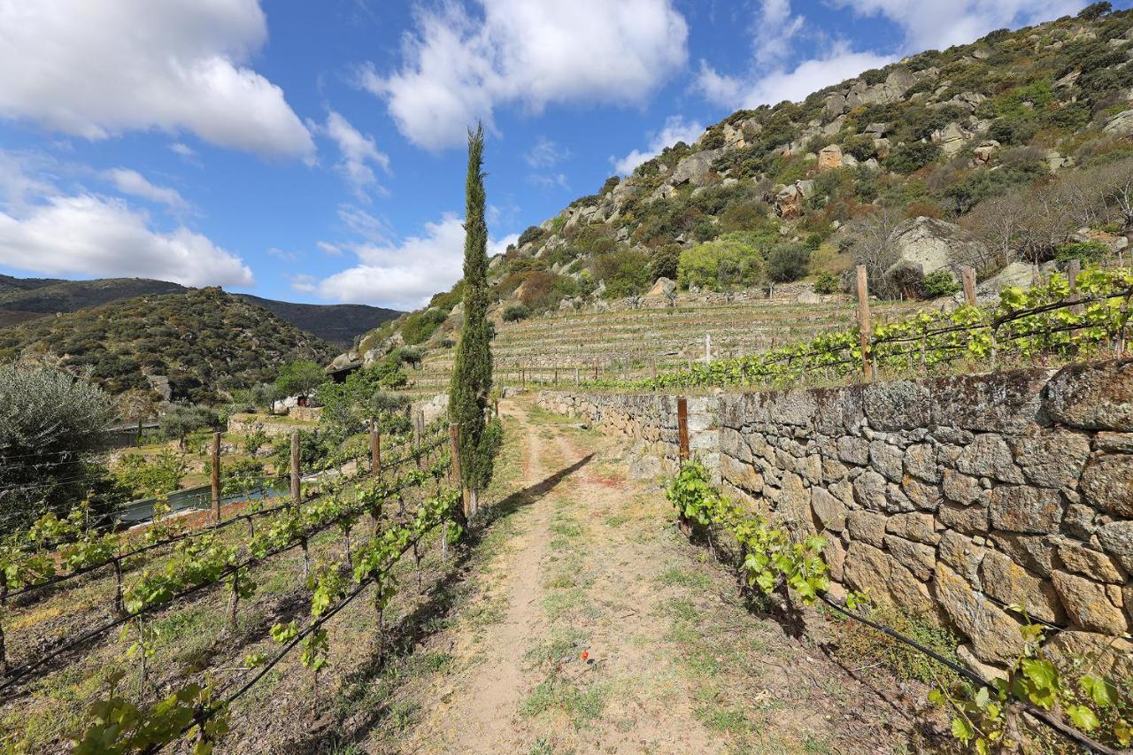 Pensjonat Quinta Da Ferradosa Wines São João da Pesqueira Zewnętrze zdjęcie
